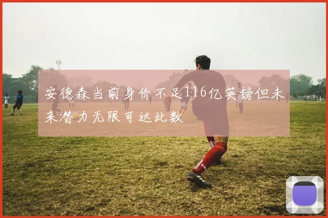 安德森当前身价不足116亿英镑但未来潜力无限可达此数